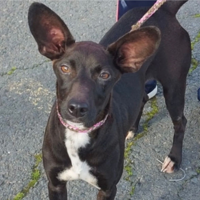 PHOTO-2026-03-15-13-09-09 4