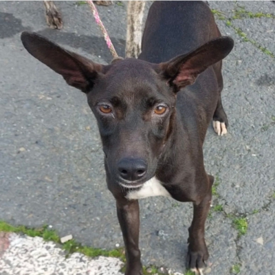 PHOTO-2026-03-15-13-09-09