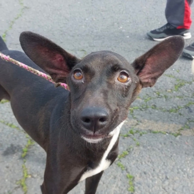 PHOTO-2026-03-15-13-09-09 5