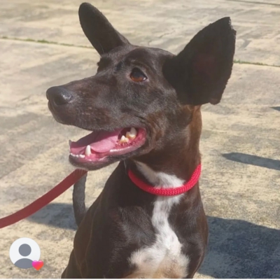 PHOTO-2026-03-15-13-09-09 6