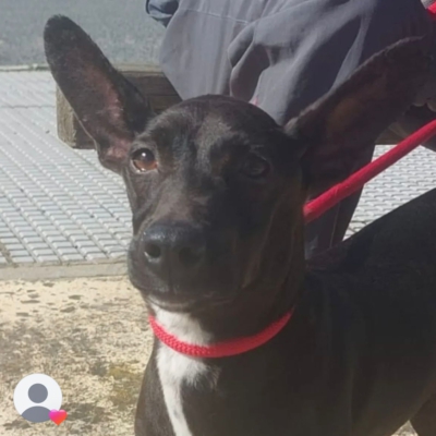 PHOTO-2026-03-15-13-09-09 7