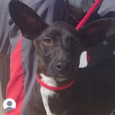 PHOTO-2026-03-15-13-09-09 8