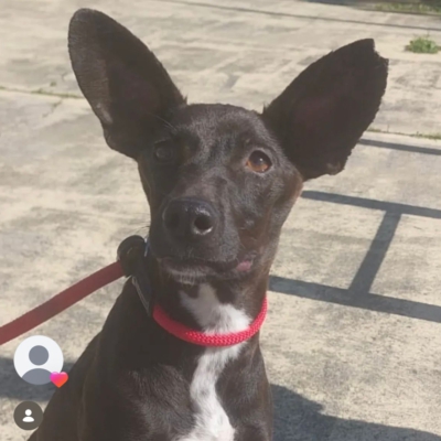 PHOTO-2026-03-15-13-09-09 9