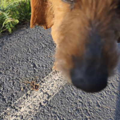 PHOTO-2026-03-15-13-22-26 10