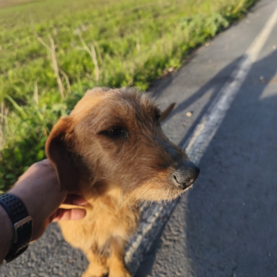 PHOTO-2026-03-15-13-22-26 11