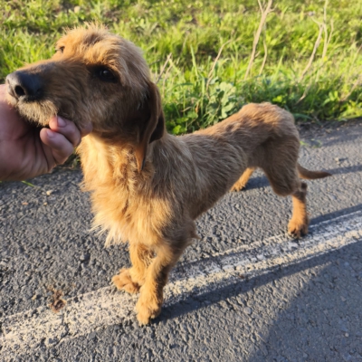 PHOTO-2026-03-15-13-22-26 12