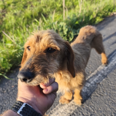 PHOTO-2026-03-15-13-22-26 13