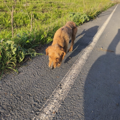 PHOTO-2026-03-15-13-22-26 14