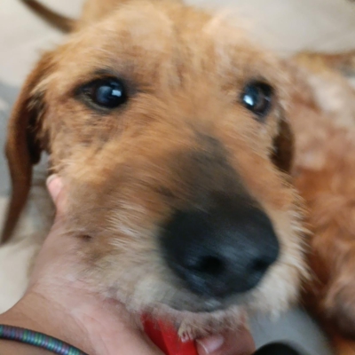 PHOTO-2026-03-15-13-22-26 15