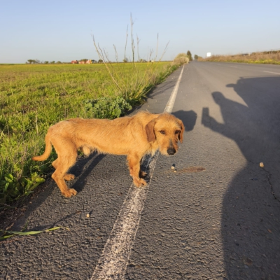 PHOTO-2026-03-15-13-22-26 2