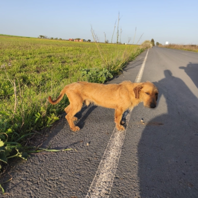 PHOTO-2026-03-15-13-22-26 3