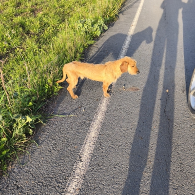 PHOTO-2026-03-15-13-22-26 4