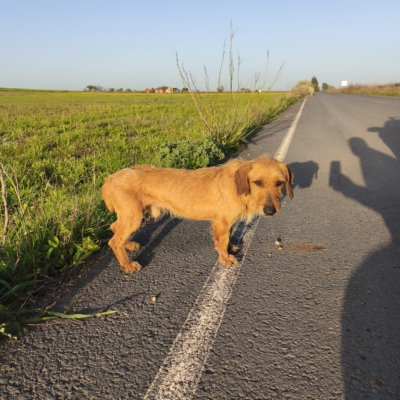 PHOTO-2026-03-15-13-22-26