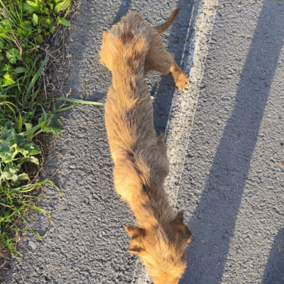 PHOTO-2026-03-15-13-22-26 5