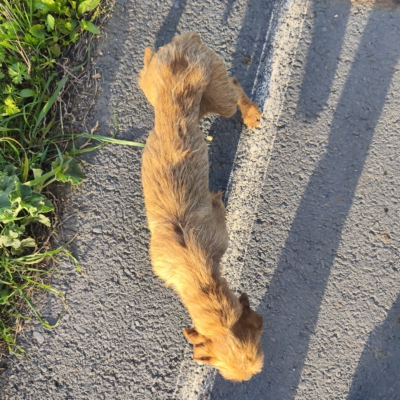 PHOTO-2026-03-15-13-22-26 6