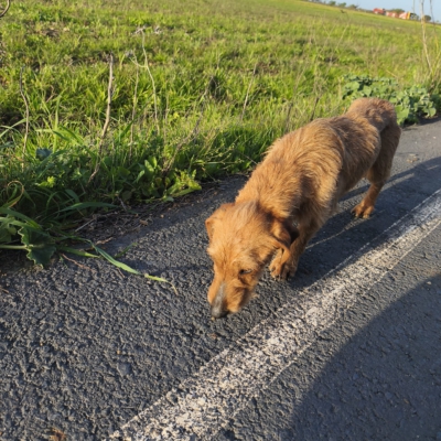 PHOTO-2026-03-15-13-22-26 7