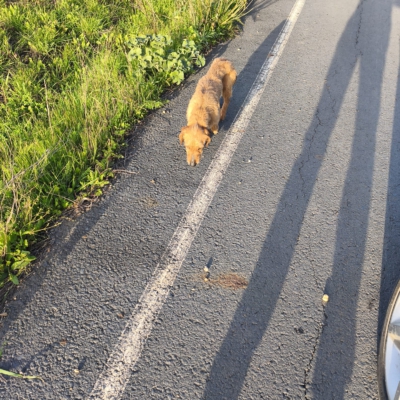 PHOTO-2026-03-15-13-22-26 8