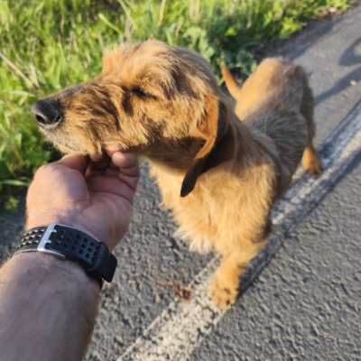 PHOTO-2026-03-15-13-22-26 9