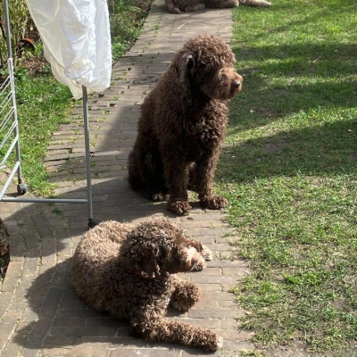 PHOTO-2026-03-21-11-31-47