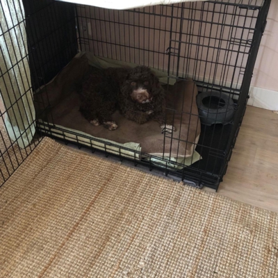 PHOTO-2026-03-21-11-36-18