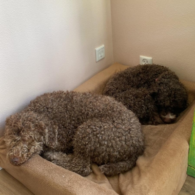 PHOTO-2026-03-21-11-36-19 2