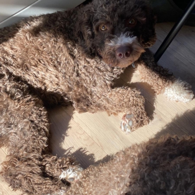 PHOTO-2026-03-21-11-36-19 3