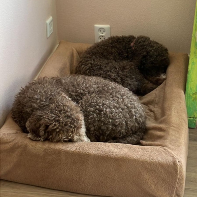 PHOTO-2026-03-21-11-36-19