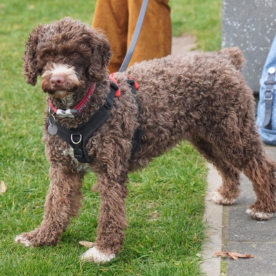 PHOTO-2026-03-27-11-39-49