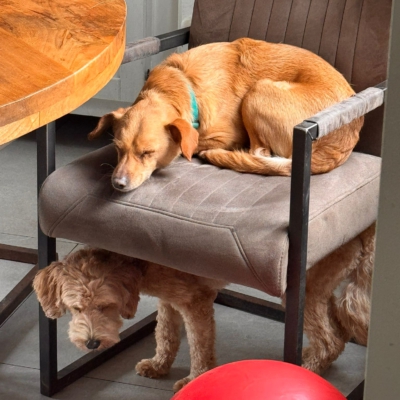 WhatsApp Image 2026-03-18 at 14.47.22 (1)