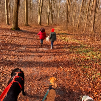 WhatsApp Image 2026-03-18 at 14.47.22 (2)