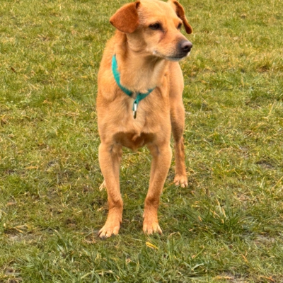 WhatsApp Image 2026-03-18 at 14.47.22 (3)