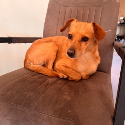 WhatsApp Image 2026-03-18 at 14.47.22