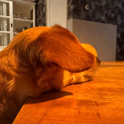 WhatsApp Image 2026-03-18 at 14.47.23 (1)