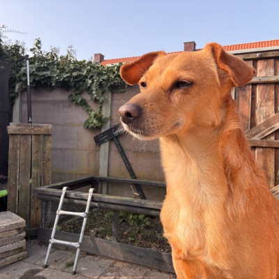 WhatsApp Image 2026-03-18 at 14.47.23 (2)