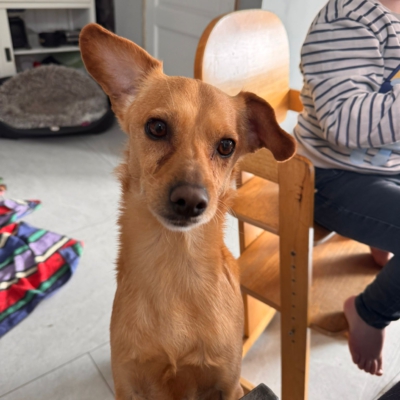 WhatsApp Image 2026-03-18 at 14.47.23 (3)