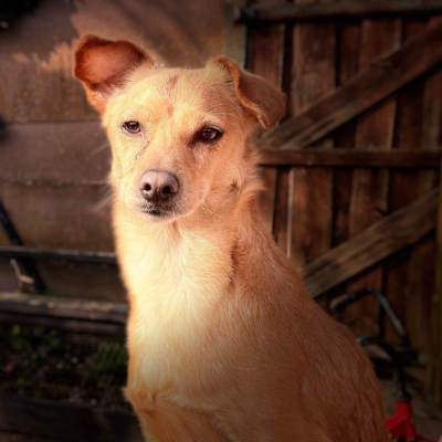 WhatsApp Image 2026-03-18 at 14.54.05