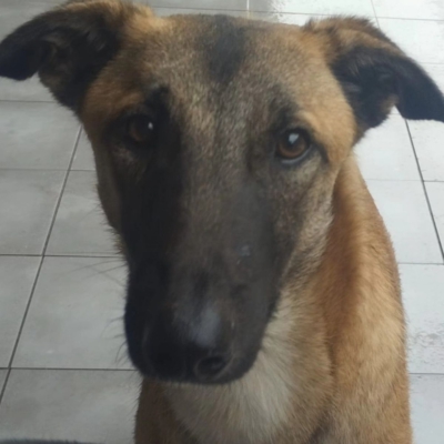 PHOTO-2026-04-24-17-00-29 2