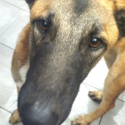 PHOTO-2026-04-24-17-00-29 4