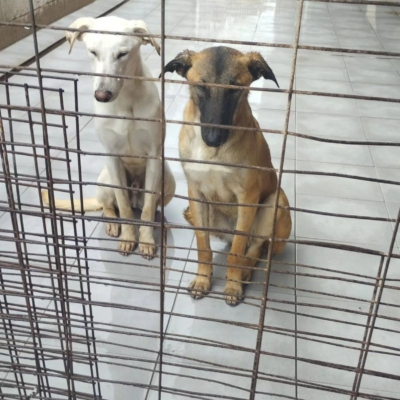 PHOTO-2026-04-24-17-00-29