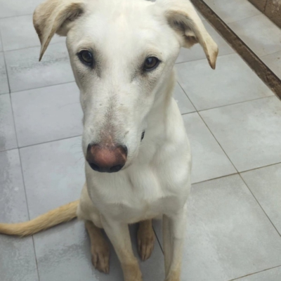 PHOTO-2026-04-24-17-00-29 5