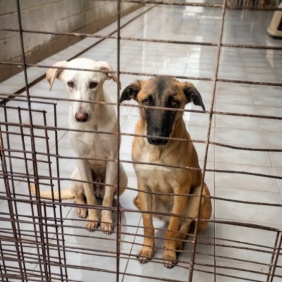 PHOTO-2026-04-24-17-00-29 6