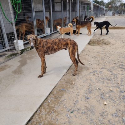 PHOTO-2026-04-25-09-48-22 2