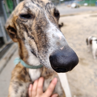 PHOTO-2026-04-25-09-48-22 3