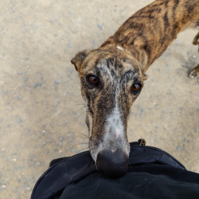 PHOTO-2026-04-25-09-48-22 4