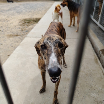 PHOTO-2026-04-25-09-48-22