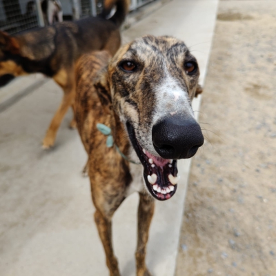 PHOTO-2026-04-25-09-48-22 5