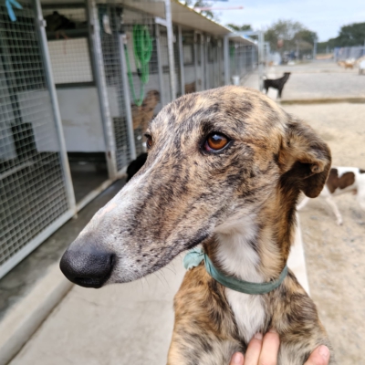 PHOTO-2026-04-25-09-48-22 6