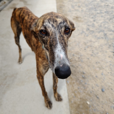 PHOTO-2026-04-25-09-48-23