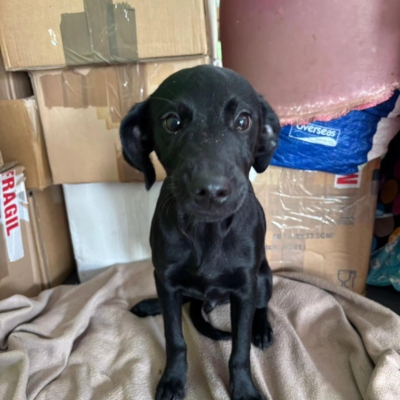 PHOTO-2026-04-25-09-55-43 2