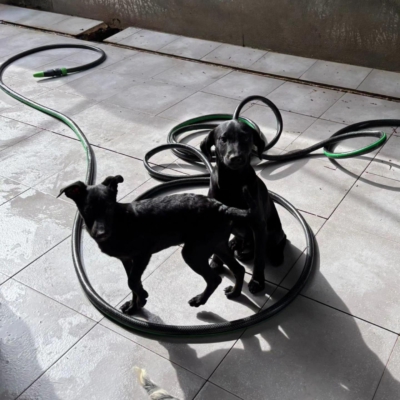 PHOTO-2026-04-25-09-55-43 3